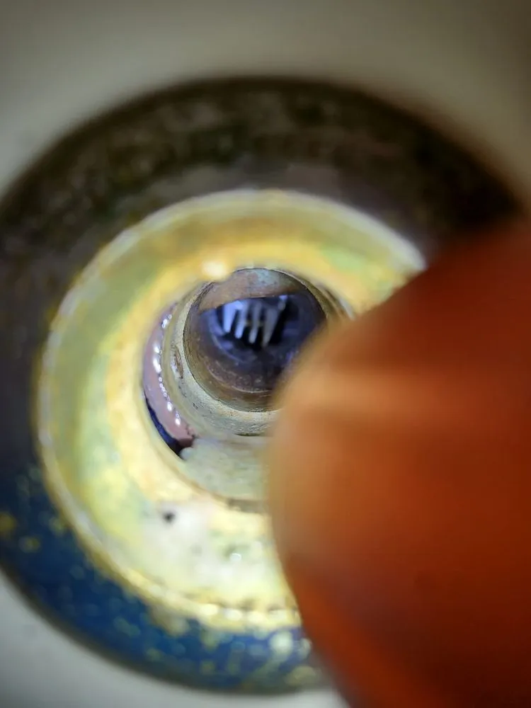 Slide of Master Rooter