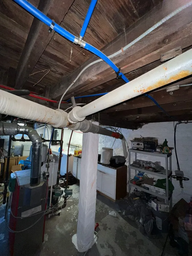 Slide of Master Rooter