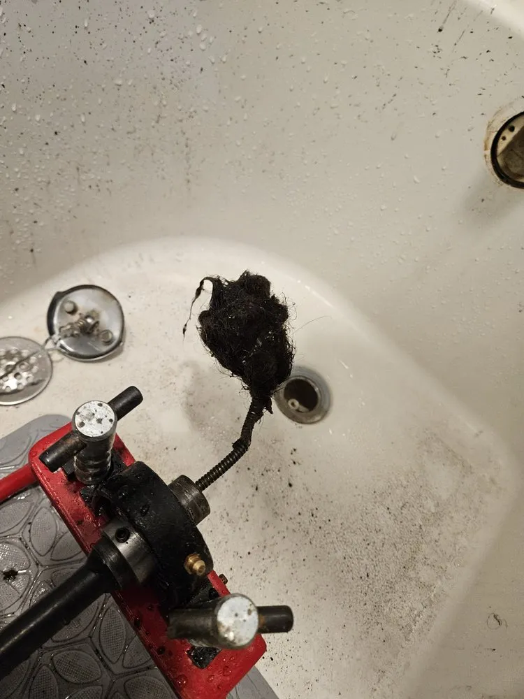 Slide of Master Rooter