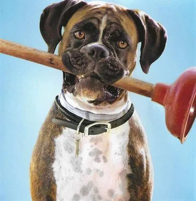 Master Tech Plumbing