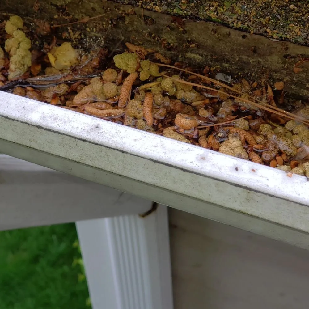 Professional water heater service experts serving Virginia Beach, VA - Mastercraft Services