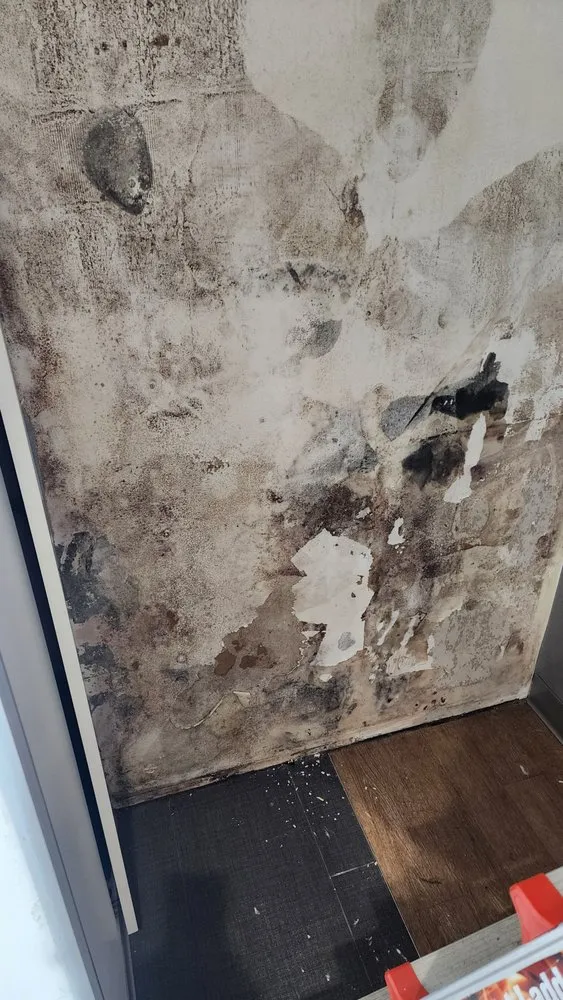 Slide of Mastercraft Services