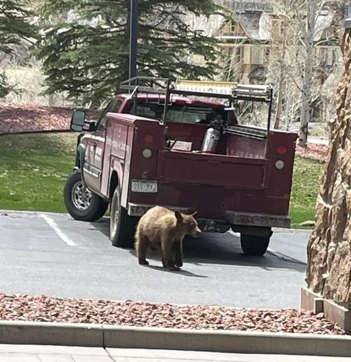 Slide of Masterworks Mechanical