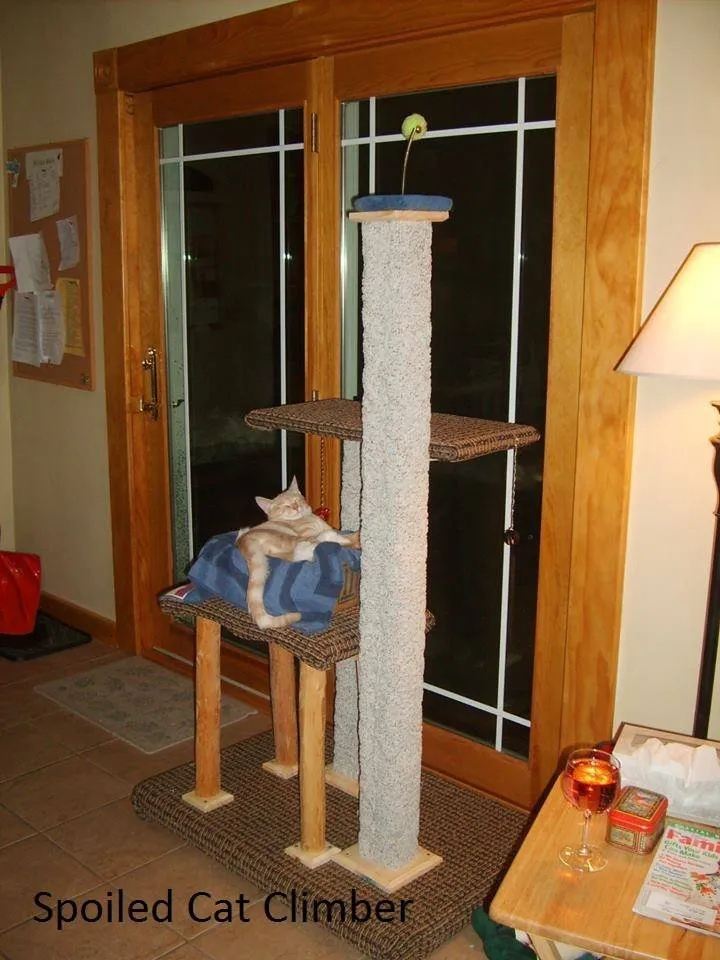 Slide of Matt Morrison Painting and Handyman Services