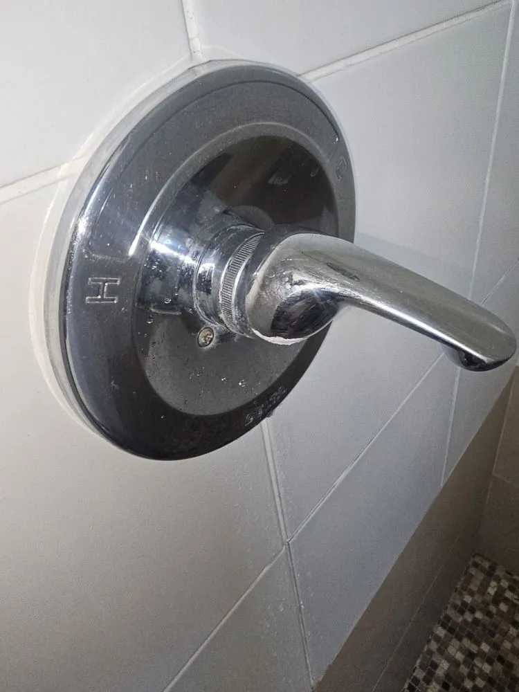 Slide of Matthews M&P Rooter