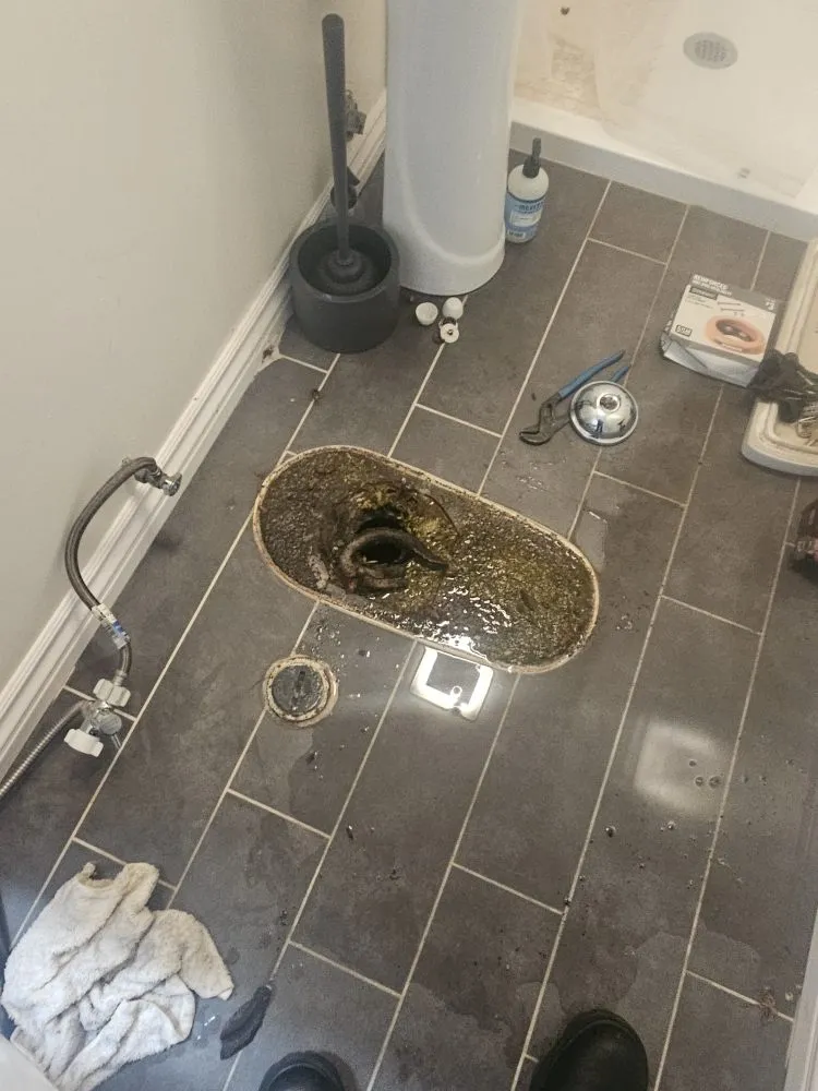 Slide of Matthews M&P Rooter