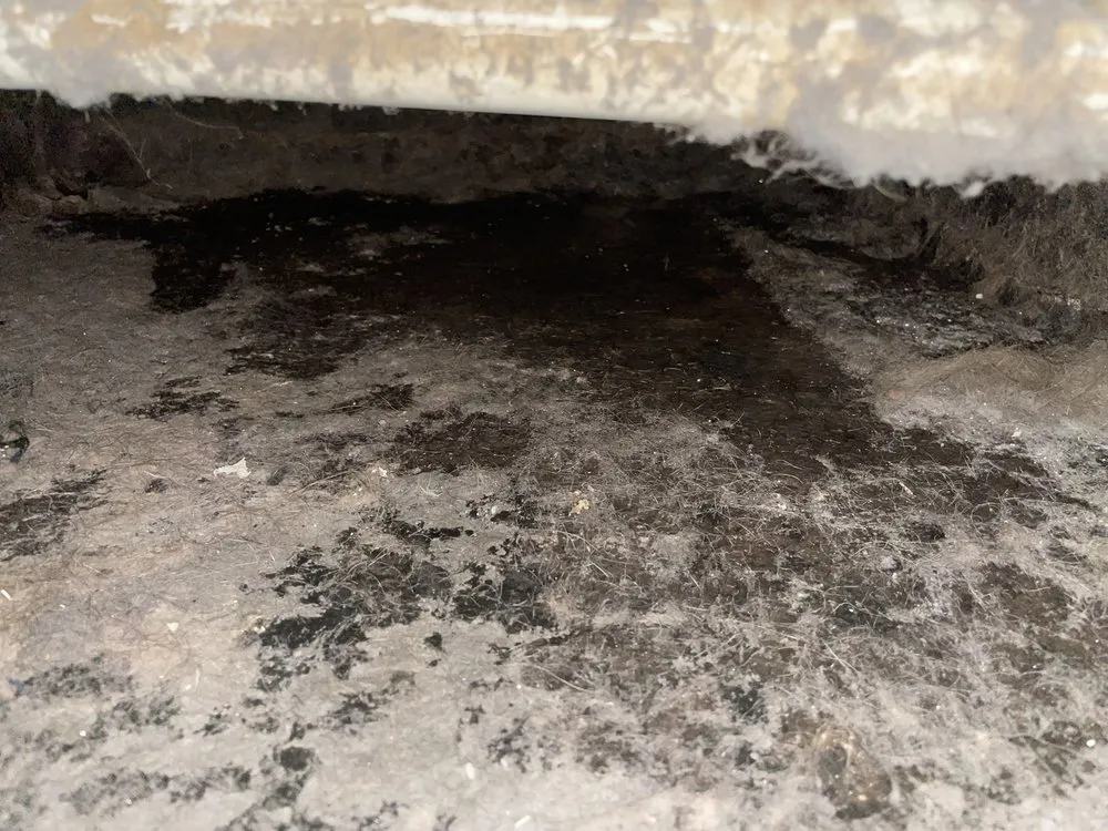 Slide of Matthew's Plumbing