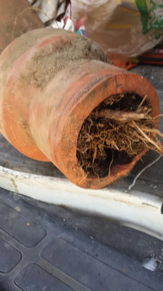 Slide of Mattos Discount Plumbing & Drain Cleaning