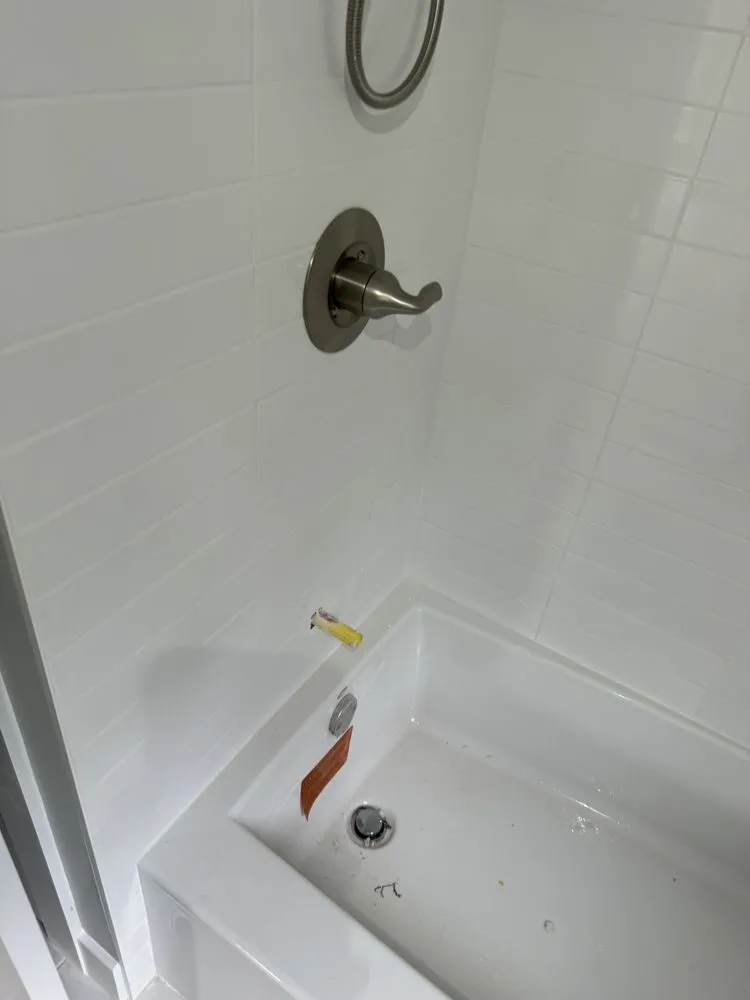 Slide of Mave Service