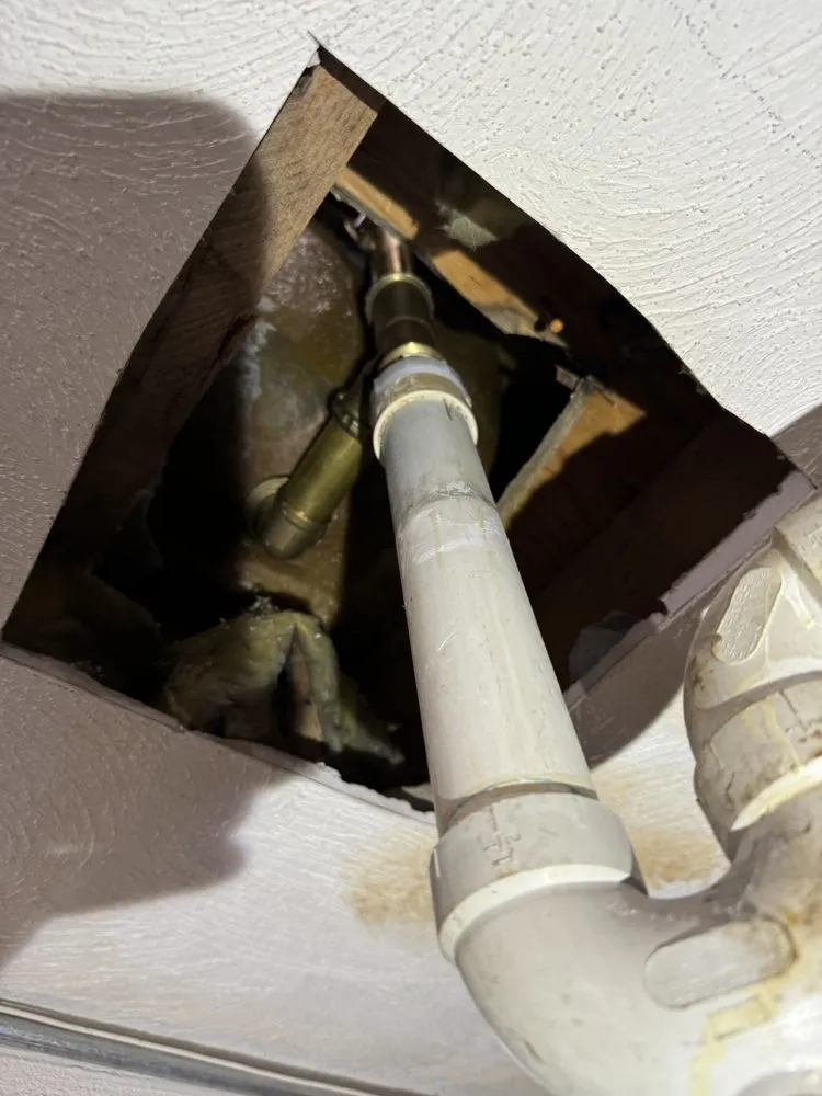 Slide of Mave Service