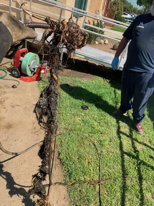 Slide of Maverick Drain