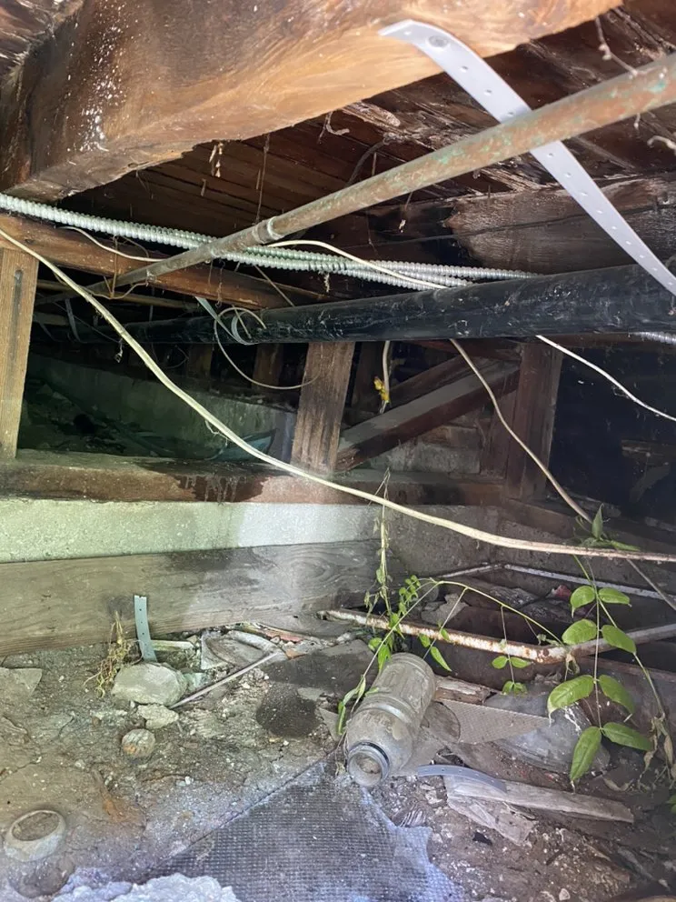 Quality emergency plumbing in Los Angeles, CA by Maverick Drain