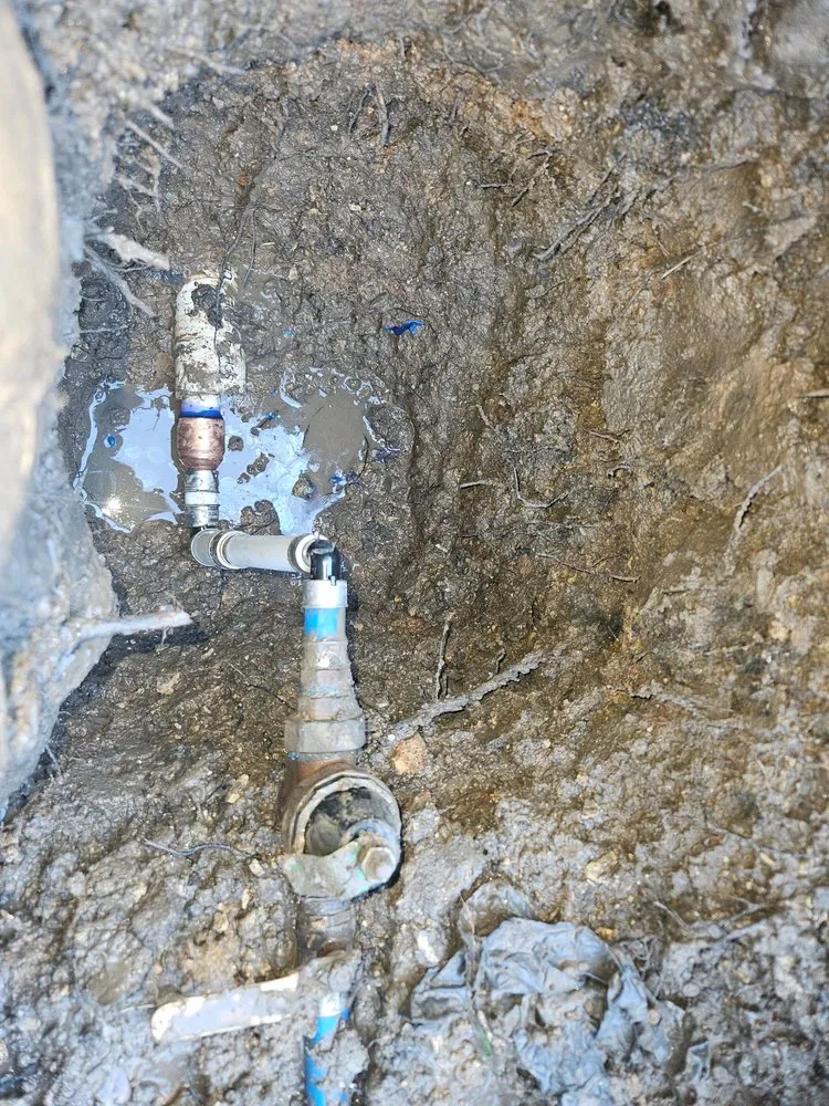 Slide of Maximus Plumbing