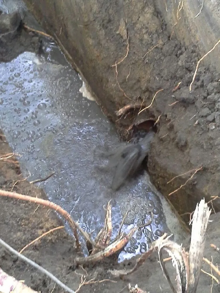 Slide of Maxwell & Sons Plumbing