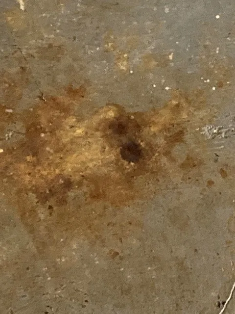 Expert water heater service for homes in Crofton, MD by Mayes Plumbing & Heating