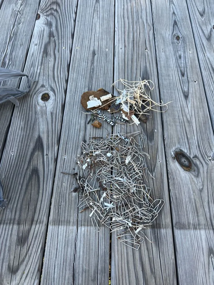 Slide of Mayhem renovations