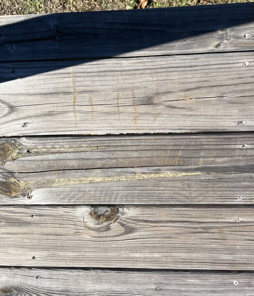 Slide of Mayhem renovations