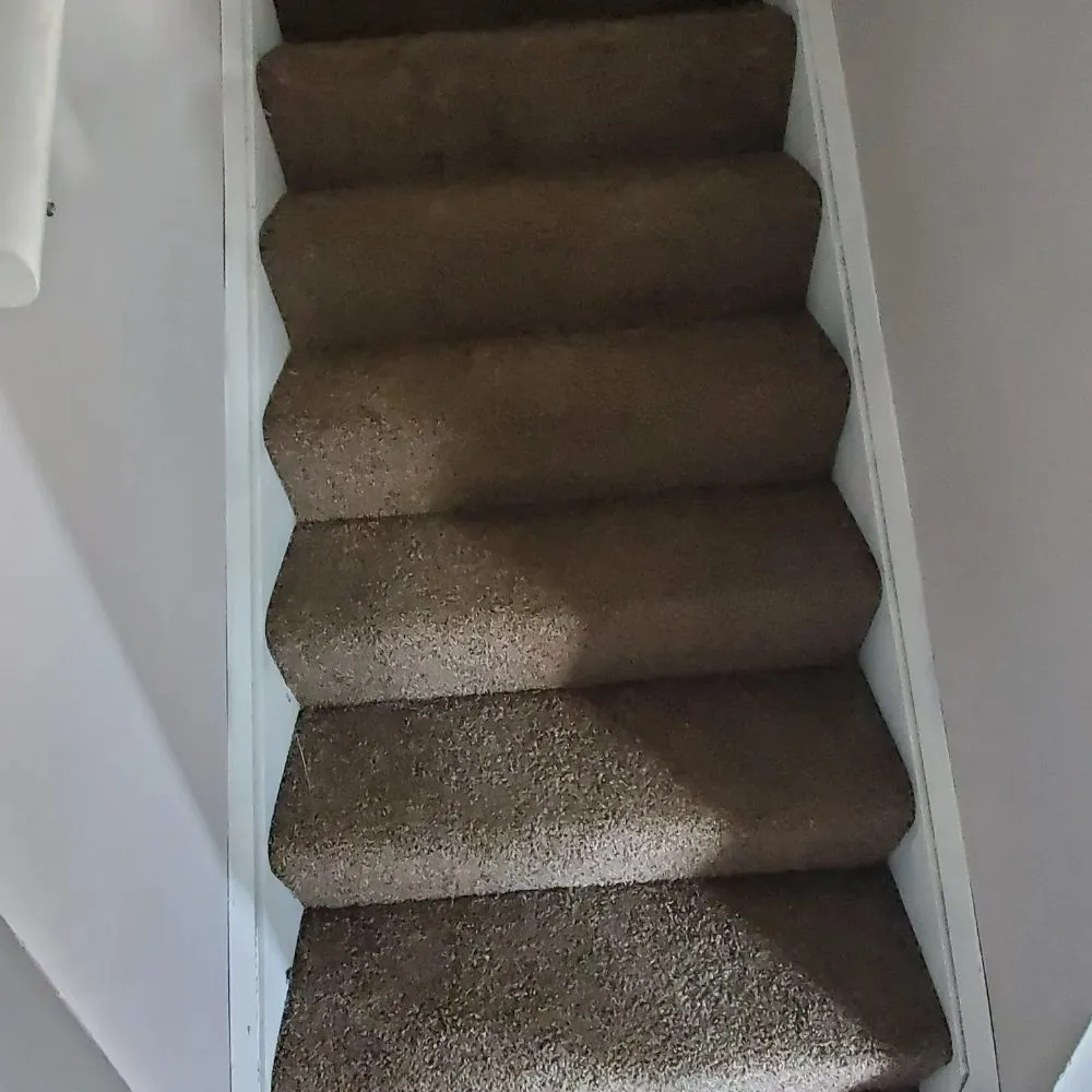 Slide of Mays UNLIMITED