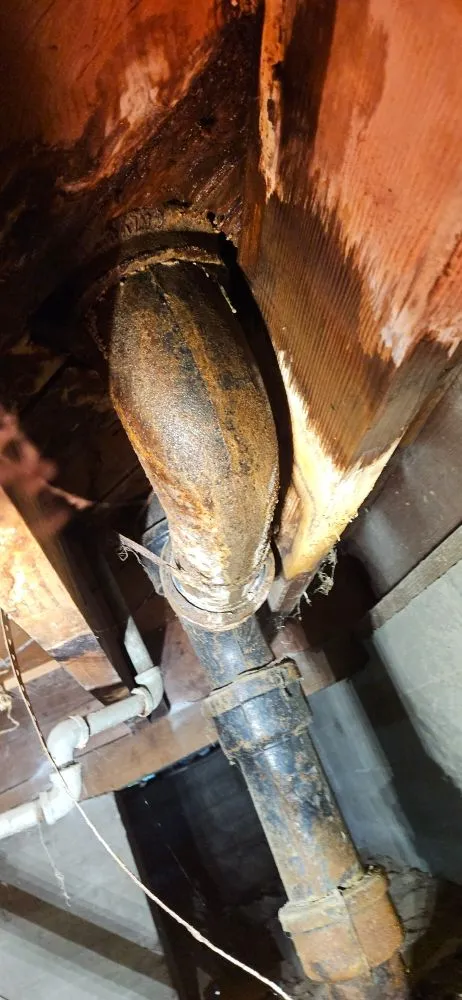 Top-rated drain cleaning for homes in Whittier, CA by McAfee Plumbing Service