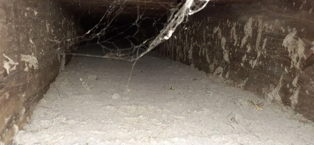 Top-rated pipe repair service in Hamburg, NY - McAllister Plumbing, Heating & Cooling