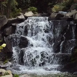 Slide of Mcauliffe Landscaping