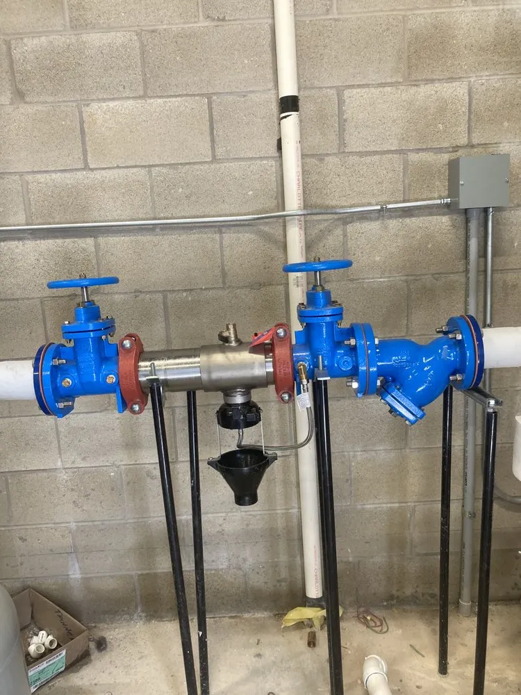 Slide of McCage Backflow