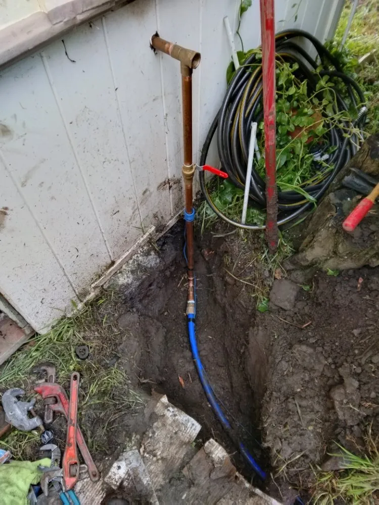 Slide of McFly Plumbing