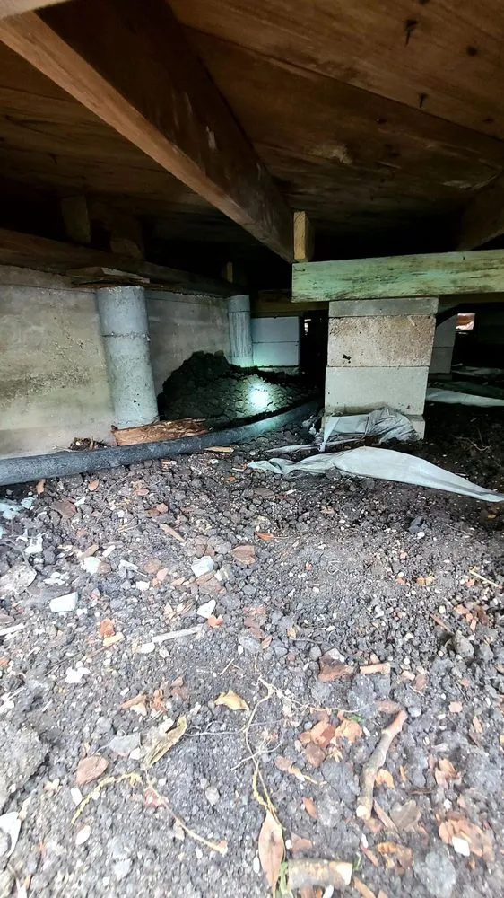 Top-rated water heater service experts serving McGregor, TX - McGregor Foundation Repair & House Leveling