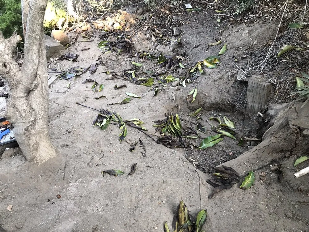 Emergency pipe repair for homes in San Marcos, CA by McKenna Septic & Sewer Services