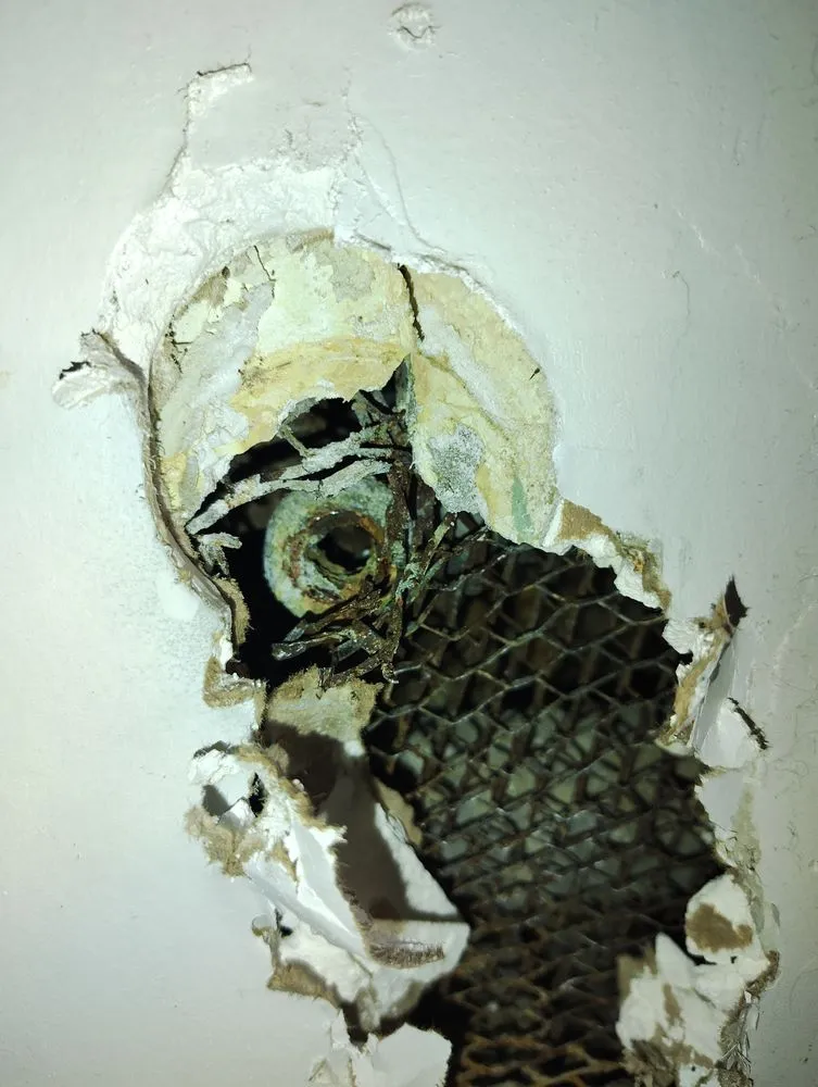 Slide of McKinley's Home improvements