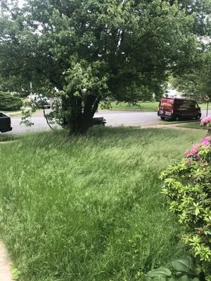 McMullen's Plumbing, Heating, Sewer And Drain Cleaning