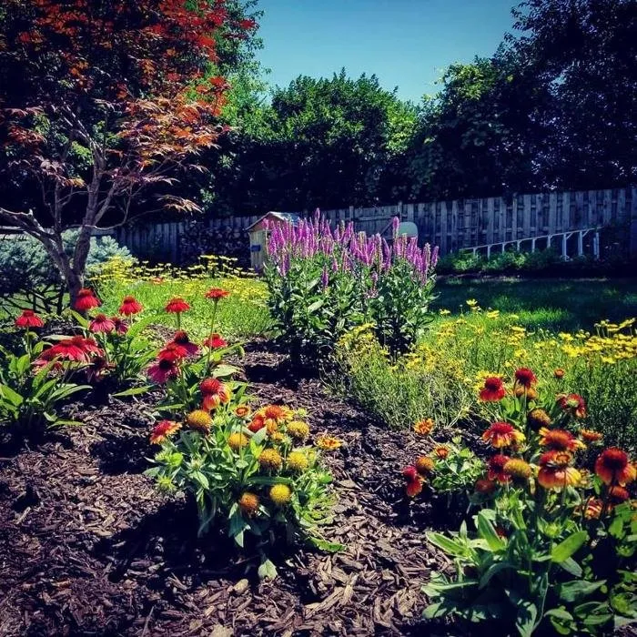 Slide of McNelly Services