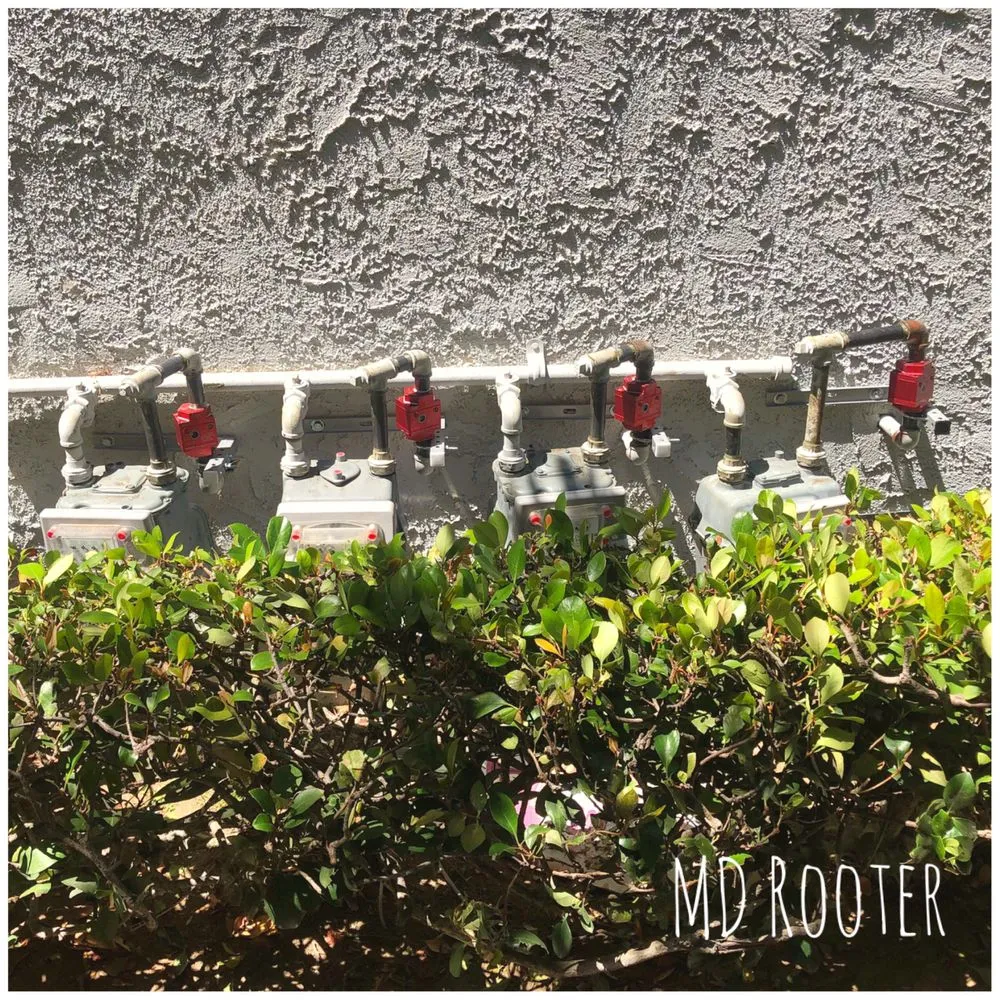 Slide of MD Rooter