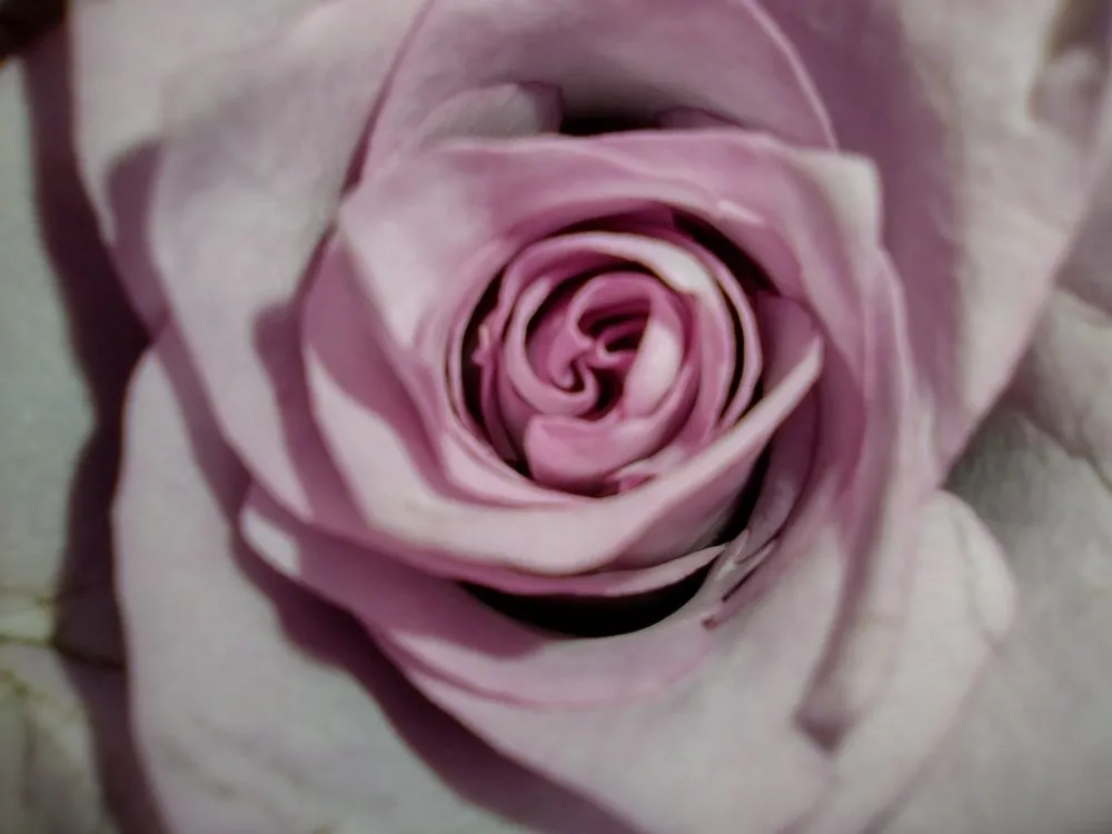 Slide of MDA Services