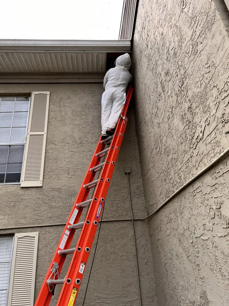 Slide of Meck Services