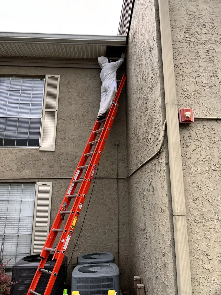 Slide of Meck Services