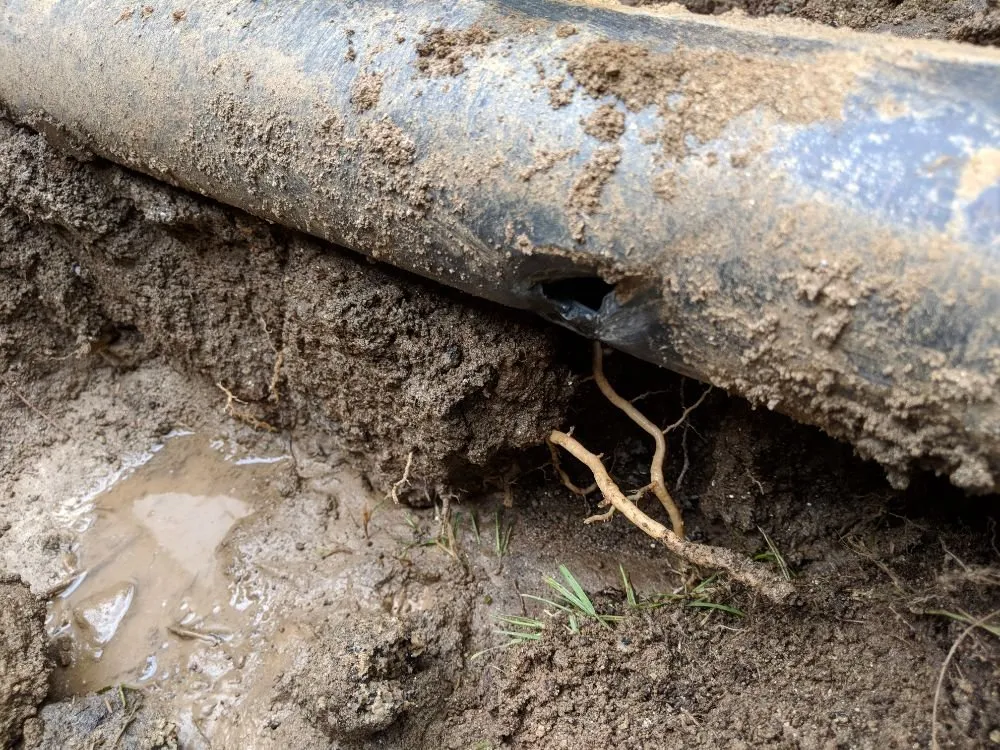 Slide of Medina Plumbing & Rooter