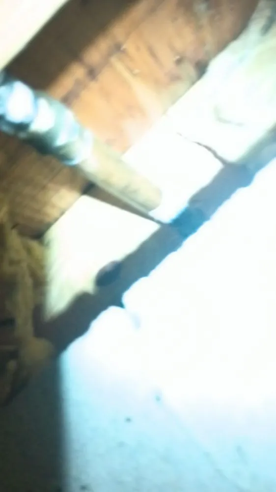 Slide of Medusa Snaking And Plumbing