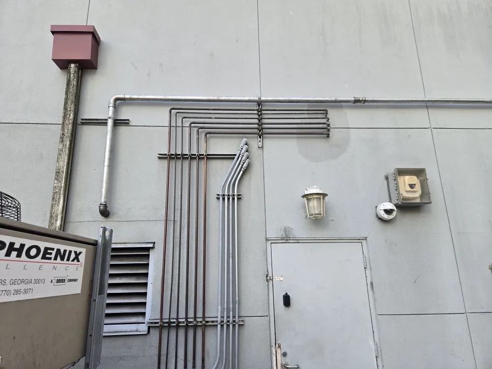 Slide of Mega Mushroom Mechanical