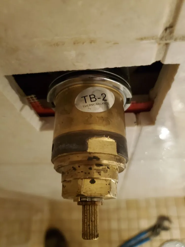 Slide of Mega Mushroom Mechanical