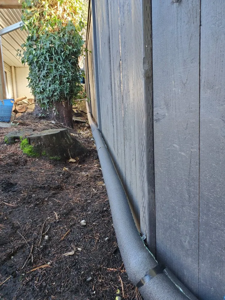 Slide of Mega Mushroom Mechanical