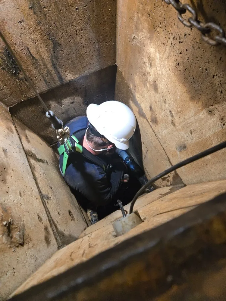 Slide of Mega Mushroom Mechanical