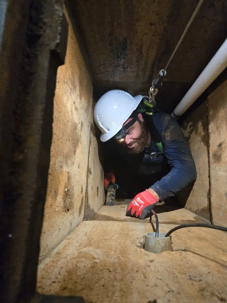 Slide of Mega Mushroom Mechanical