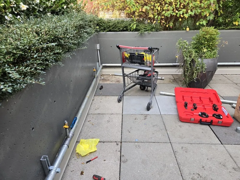 Slide of Mega Mushroom Mechanical