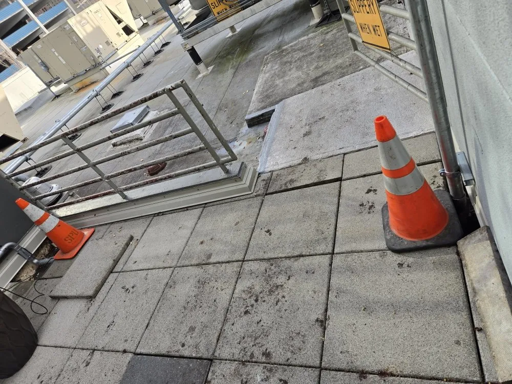 Slide of Mega Mushroom Mechanical