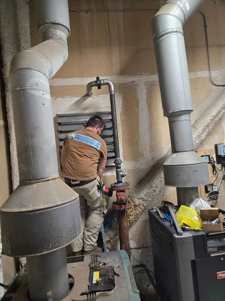 Slide of Mega Mushroom Mechanical