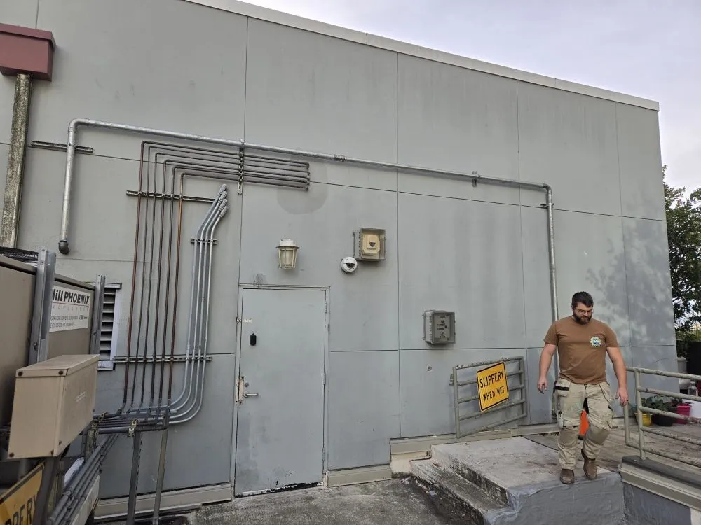 Slide of Mega Mushroom Mechanical