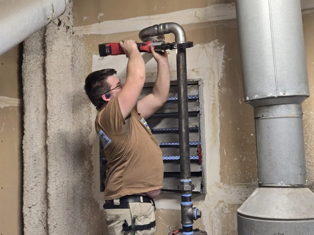 Slide of Mega Mushroom Mechanical