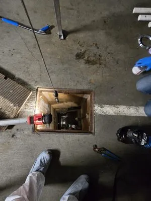 Mega Mushroom Mechanical Logo