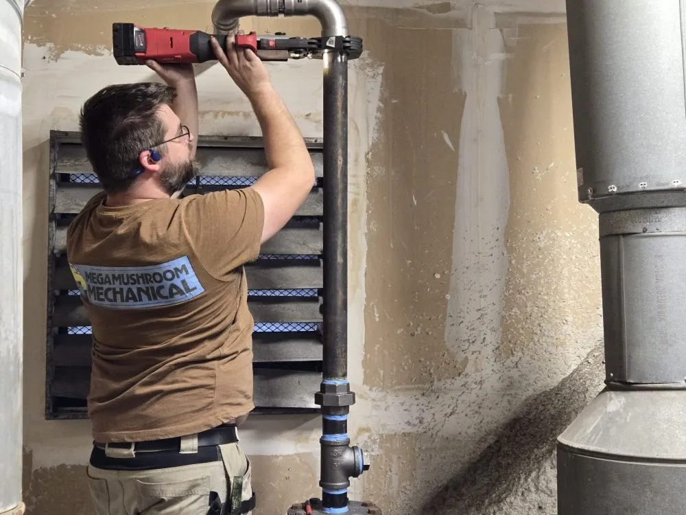 Slide of Mega Mushroom Mechanical